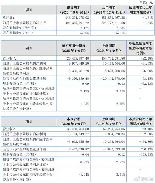 联迪信息2025年第三季度净亏损316.48万元，内销收入下滑拖累业绩