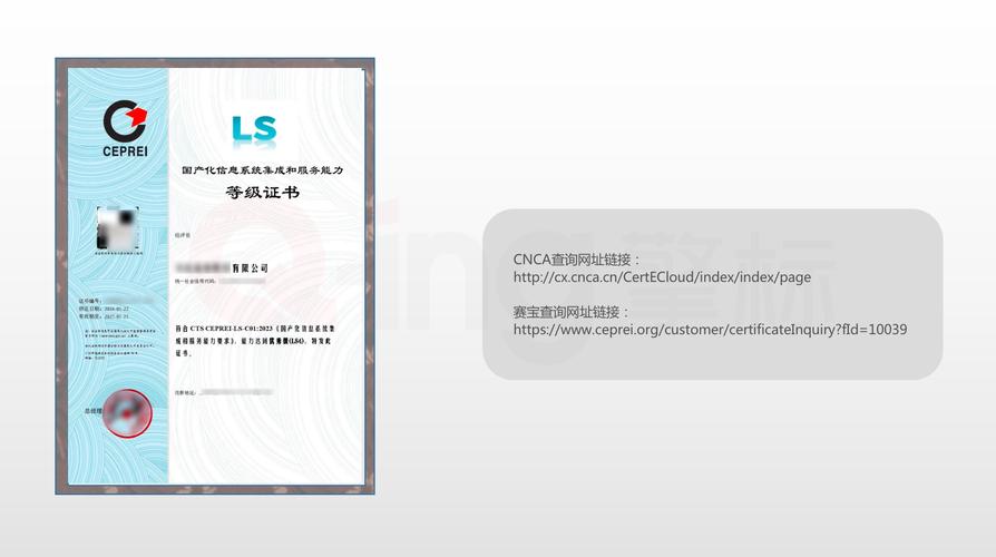 擎标科普|ls 国产化信息系统集成和服务能力评估